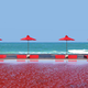 Image for article titled 12 Cool Pools You Wish You Were Swimming In Now